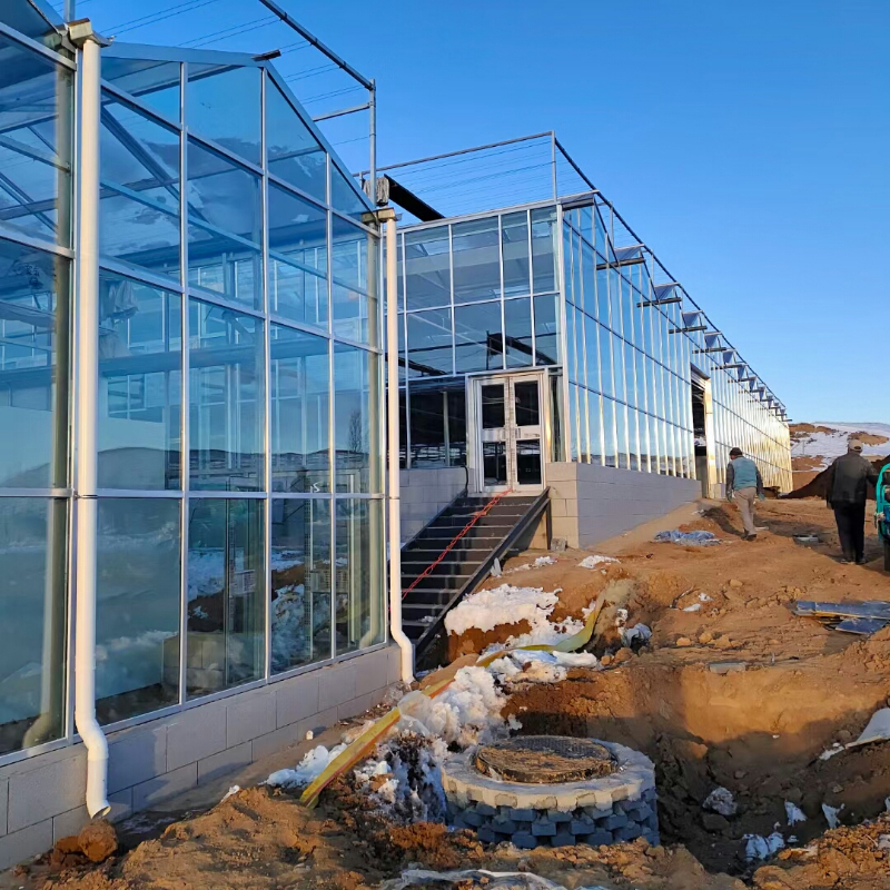 金嵐農(nóng)業(yè)連棟溫室項目（智能溫室大棚）